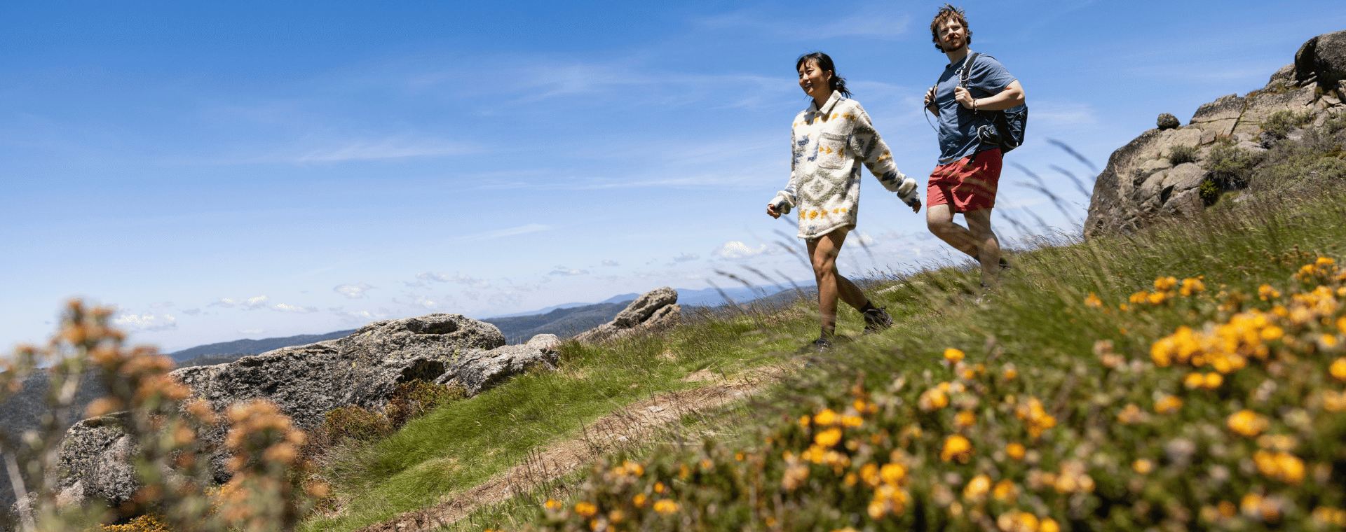 Two hikers walking through alpine wildflowers and rocky terrain on the Snowies Alpine Walk near Perisher.