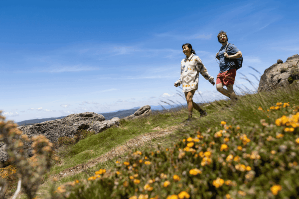 Two hikers walking through alpine wildflowers and rocky terrain on the Snowies Alpine Walk near Perisher.